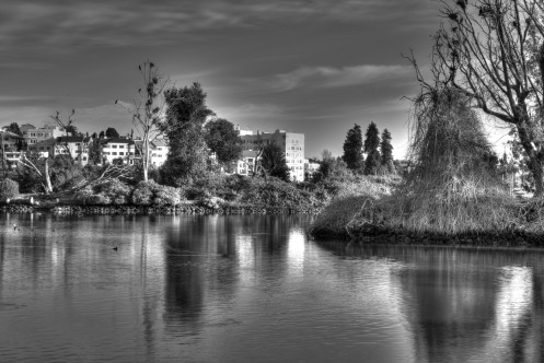 Lake Merritt #1